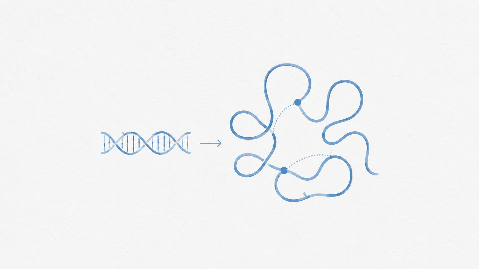 AI-generated conceptual illustration of DNA sequence folding into spatial chromatin contacts