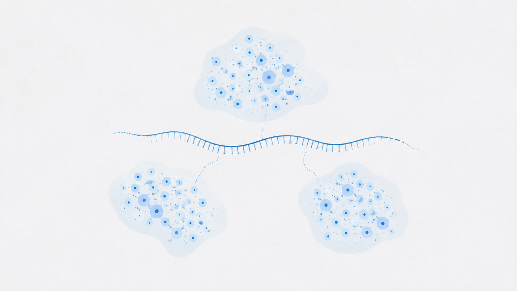 AI-generated placeholder illustration of cell clusters connected by an RNA strand